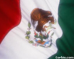 flag.jpg